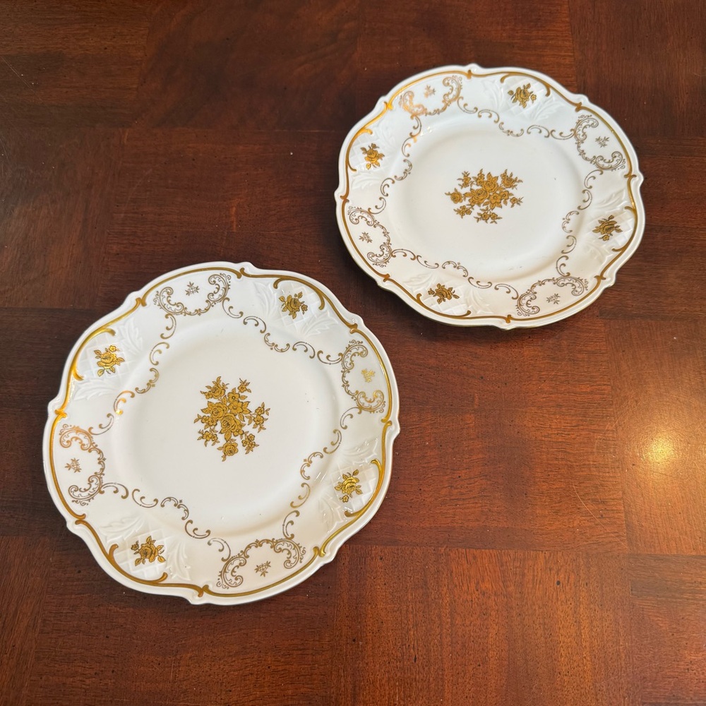 Reichenbach Fine China Porcelain Set of 2 Side Salad Dessert Plates with Roses